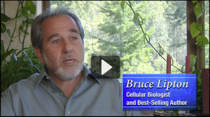 bruce lipton