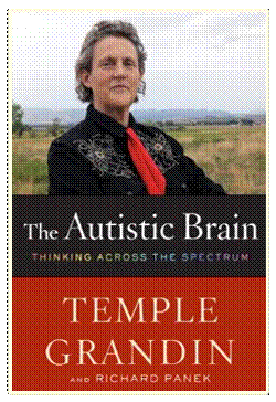 The Autisic Brain